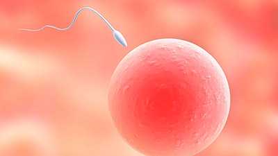 代怀产子价格_40多岁代孕,基因遗传病可以通过试管婴儿技术避免-试管移植第四
